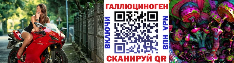 Галлюциногенные грибы Psilocybine cubensis  Кяхта 